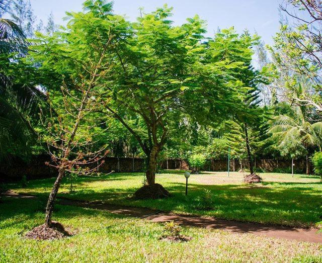 Kijani Cottages Diani Диани-Бич Экстерьер фото